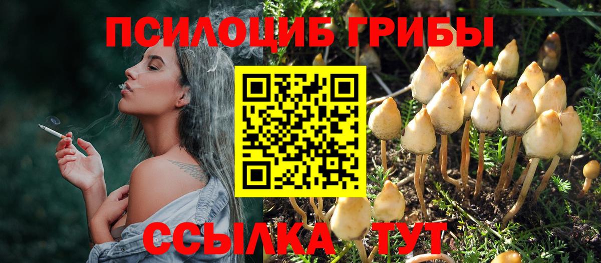 Псилоцибиновые грибы Psilocybine cubensis  Вход с VPN  Ефремов  Псилоцибиновые грибы прущие грибы 