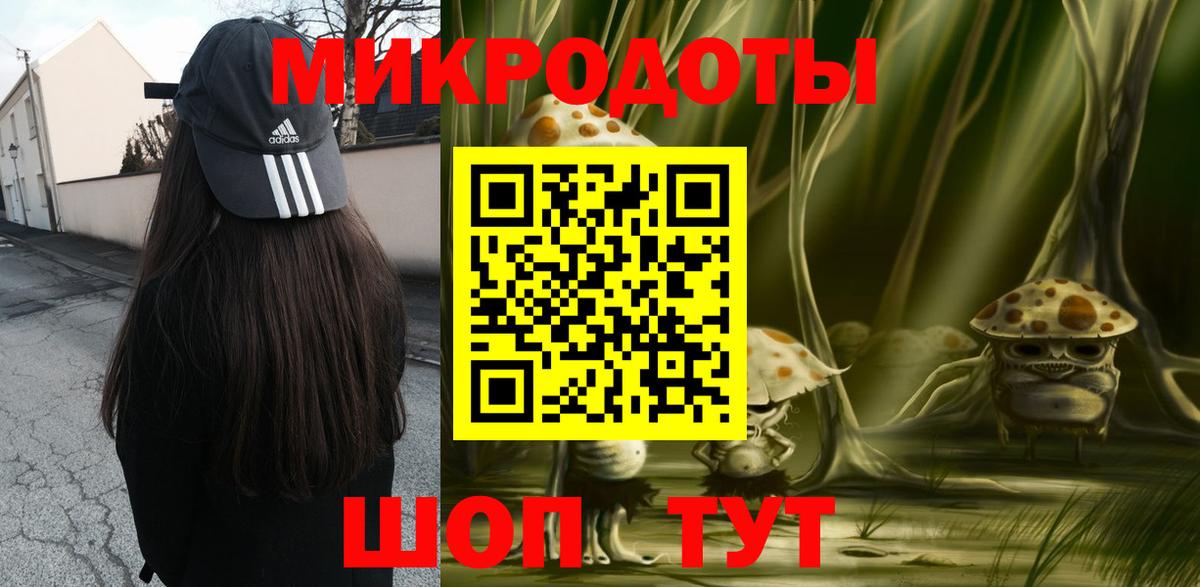 Псилоцибиновые грибы Cubensis Ефремов