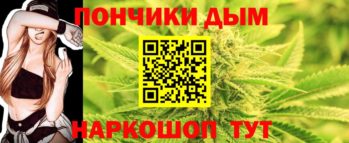Бошки марихуана Amnesia  Вход с VPN  Бошки марихуана план  Марихуана конопля  Ефремов 